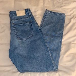 Everlane “The 90’s Cheeky Jean” Size 26